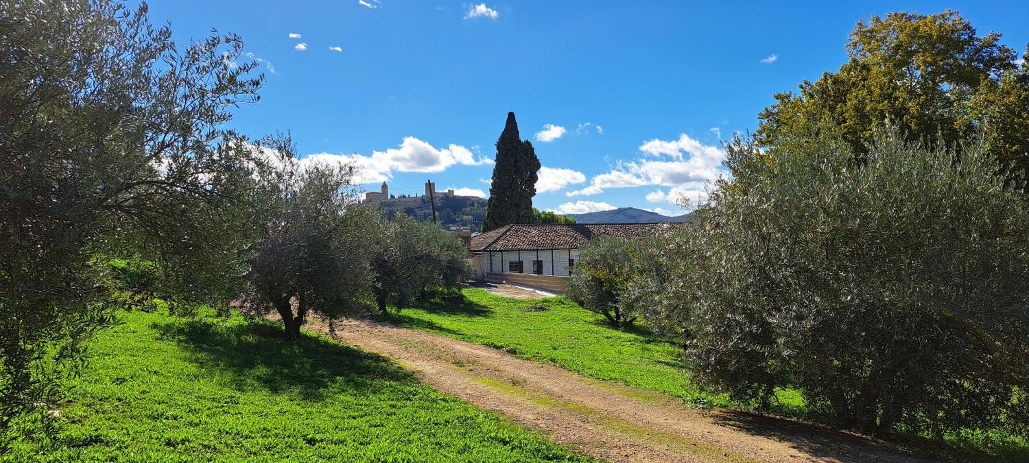 Villa Cauchil Chico à Alcalá la Real Extérieur photo